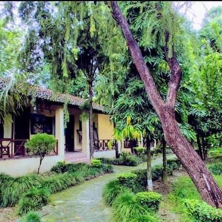 Rhino Lodge Bardia Pvt Ltd Bardiya Dış mekan fotoğraf