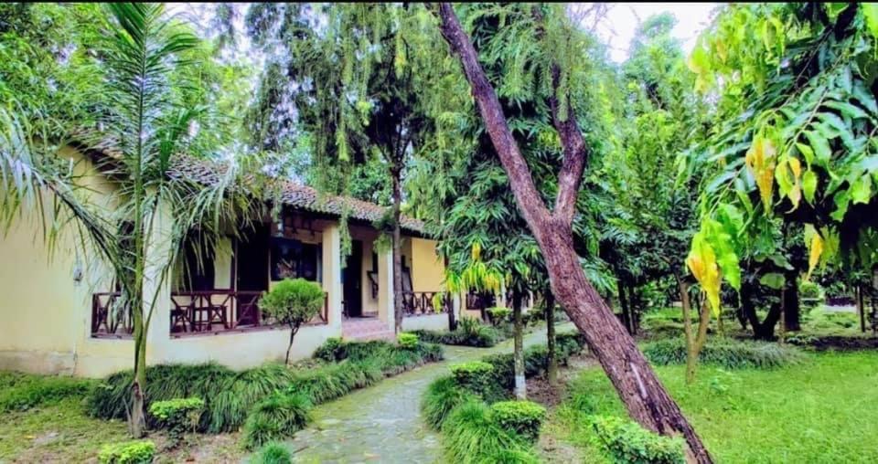 Rhino Lodge Bardia Pvt Ltd Bardiya Dış mekan fotoğraf