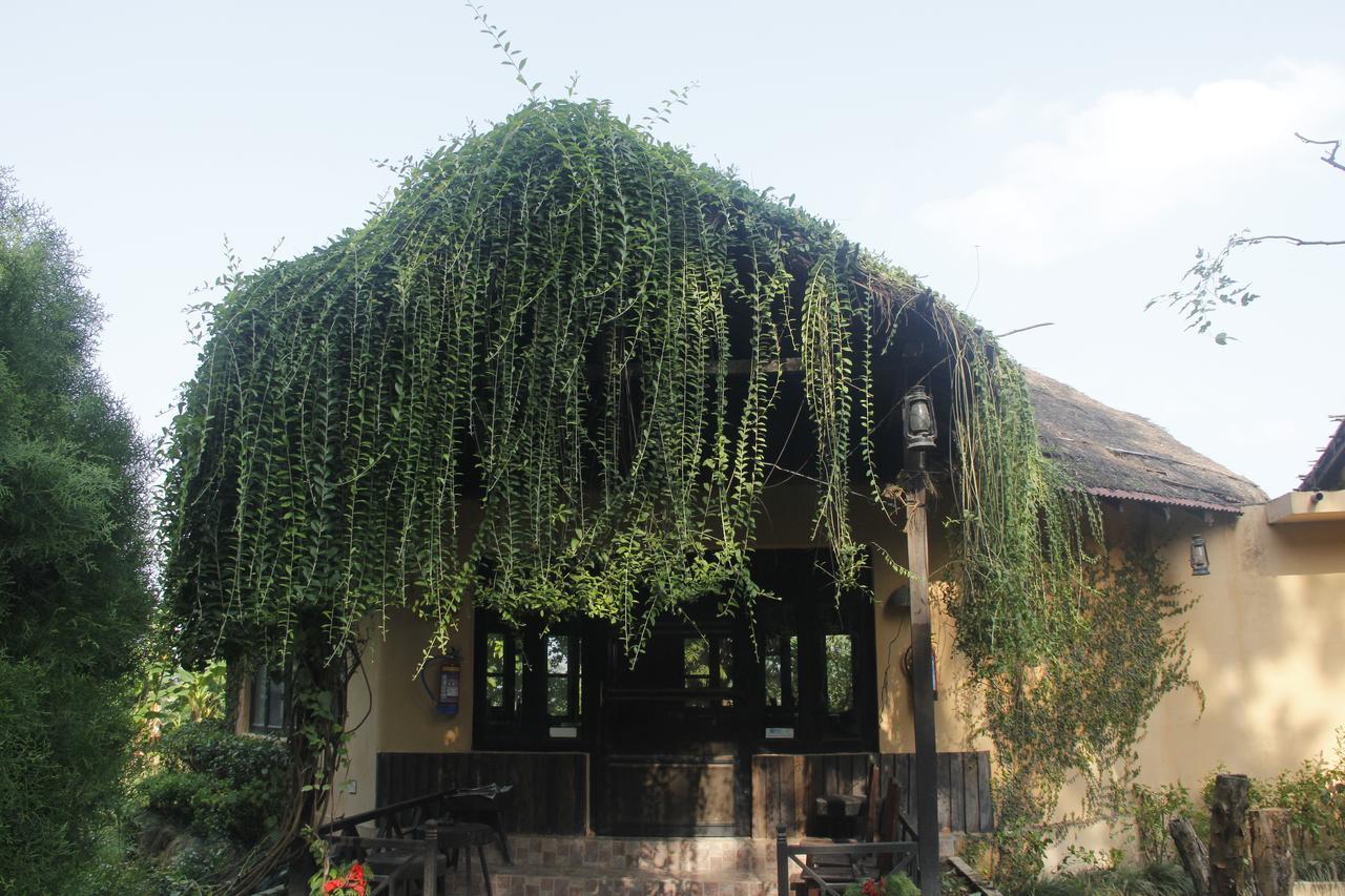 Rhino Lodge Bardia Pvt Ltd Bardiya Dış mekan fotoğraf