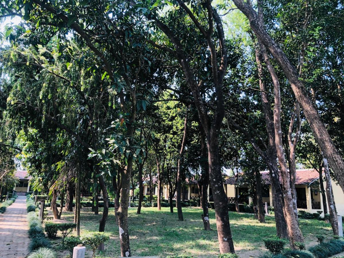 Rhino Lodge Bardia Pvt Ltd Bardiya Dış mekan fotoğraf