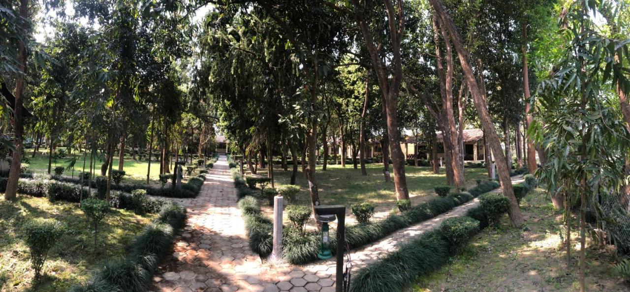 Rhino Lodge Bardia Pvt Ltd Bardiya Dış mekan fotoğraf